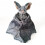 Pluche vleermuis in gotisch anime-design, spanwijdte 73 cm 1