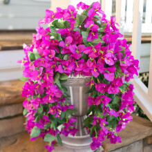 Bougainvillées artificielles suspendues pour l'extérieur – Lot de 2 tiges en soie synthétique résistantes aux UV, violettes, compatibles avec