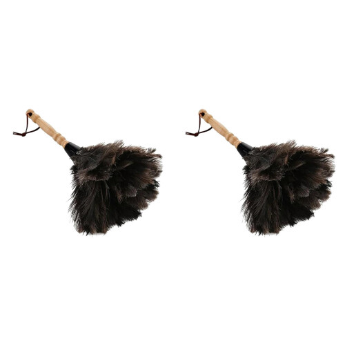 Plumeau à manche en bois, 33 cm, lot de 2