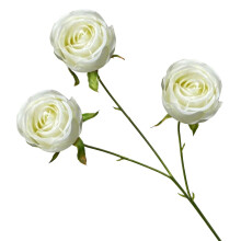 Künstlicher Rosenstrauß, weiß, Heimdekoration, 1 Stück