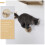 Mobilier Chat Bois Massif Khaki Escalier Pour Maison 4