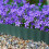 Clôture Jardin Verte En Plastique PP Simple À 4