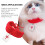 Collier Chat Tricoté 1 En Laine Douce Pour Chat Élégant 4