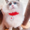 Collier Chat Tricoté 1 En Laine Douce Pour Chat Élégant 6