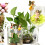 Handmade Resin Fairies 5pc Garden Decor 1