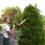 24V Cordless Handheld Grass Shear Hedge Trimmer with 90  Cutting Angle 2Pcs Replaceable Blades 8