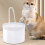 Σιντριβάνι Νερού Γάτας Gravity Pet Water Dispenser Αυτόματη Ταΐστρα Νερού Κυκλοφορίας για 4