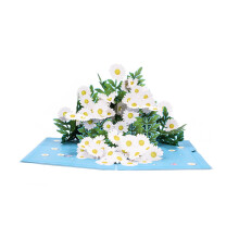 Carte de vœux 3D à motif marguerite avec enveloppe, idéale pour une maman, une épouse ou une petite amie.