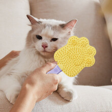 Brosse de toilettage pour chat, pour le massage et le démêlage