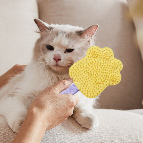 Brosse de toilettage pour chat, pour le massage et le démêlage