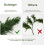 6ft Artificial Norfolk Pine Garland 3