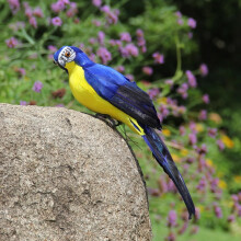 Realistic Blue Fake Parrot Ornament, Lifelike Feathered, 9.8x1.9 in, 1pc Shoulder Decor Model