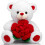 Oso de peluche blanco de 30 cm con rosa 1