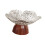Fruktskål med fot – PET/PP modern serveringsbricka, 24 cm 4