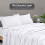 Drap plat Queen 100 % percale de coton peigné 300 fils/cm² Blanc 2