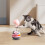 Interactive Cat Toy Feather Bell Tumbling Ball Gray 4