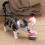 Interactive Cat Toy Feather Bell Tumbling Ball Gray 6