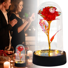 Rose arc-en-ciel lumineuse sous dôme de verre - Cadeau de fleur éternelle illuminée pour elle, maman, épouse à l'occasion de la Saint-Valentin,