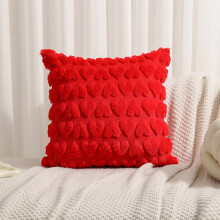 17.7x17.7 Inches Valentines Day Decorative Pillow,Soft Fabric Material,Hidden Zipper Design,Romantic Home Decor Cushion