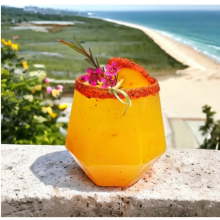 Verres sans pied en plastique à bordure dorée diamantée (paquet de 48)