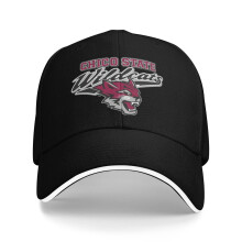 Gorra de béisbol unisex de los Wildcats de Cal State Chico – Ajustable
