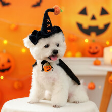 Czapka czarownicy na Halloween dla psów i kotów, mała, dzianinowa