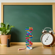 4Pcs Molecular Dna Teaching Model Human Genes Structure Kit for Education