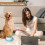 Lick Sphere Canine Bowl with Floating Ball System Yellow 5
