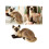 Gato Siamês de Pelúcia Macio e Lavável de 30 cm (12 polegadas) 4