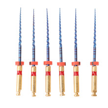6pcs Dental Endo Canal Files Large Taper 25mm Flexible Metal F2