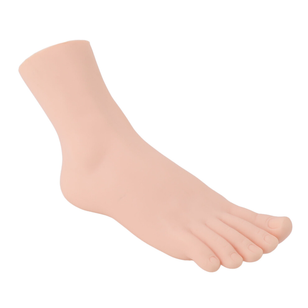 Fashion Foot Model Female Right Foot Mannequin for Footwear & Massage Showcases