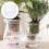 24Pcs White Pe Plastic Square Net Plant Pots for Hydroponics Gardening 4
