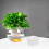 24Pcs White Pe Plastic Square Net Plant Pots for Hydroponics Gardening 6