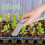 LED Solar Garden Lights Waterproof Outdoor Pathway Decor 6 Pack Multi-Colour 4