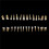 56Pcs Tooth Model 1:1 Permanent Teeth Model Dental Resin Tooth Demonstration Tooth Education Teach Study 5