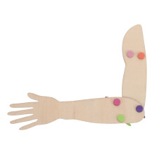 Anatomisches Arm Modell, -Muskel Lernspielzeug Aus Holz