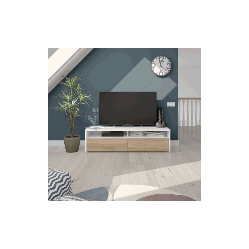 Mueble TV Kioto 2 puertas 2