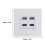 4-Port Ethernet Wall Plate USB 3.0 86x86mm Data Panel 2