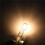 200PCS T5 286 Bulb Basic Miniature Bulb for License Plate Light Side  Automotive Interior Dashboard Dome Light 3