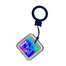 CPU-Wafer-Schlüsselanhänger, Prozessor-Speicherchip, Klebertropfen-Dekoration für für , Silizium-Wafer, Forschung, Lehre