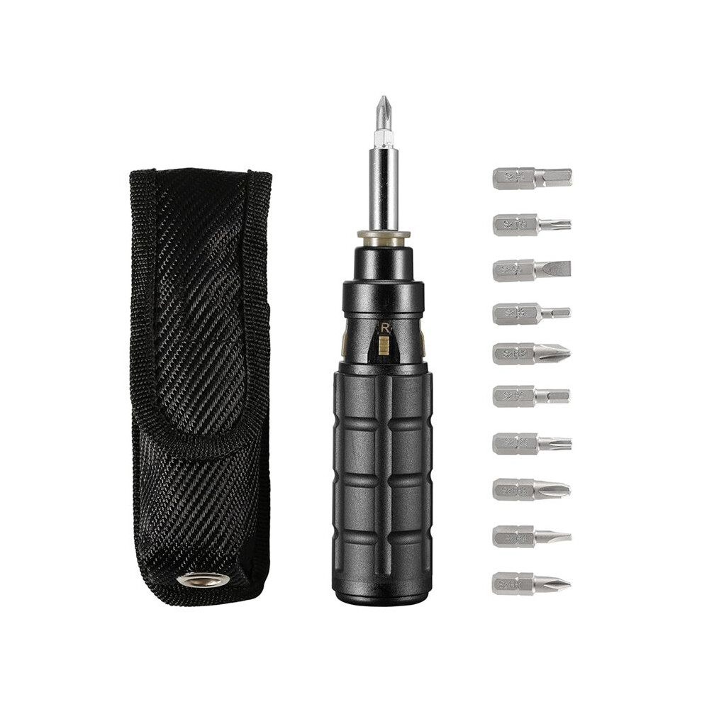 10-In-1 Multibit Ratchet Screwdriver, With Phillips/Slotted/Torx/Hex Bits And 1/4-Inch Nut Driver,With Belt Pouch 6033797292291