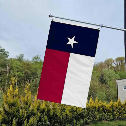 Bandiera dello Stato del Texas 3x5FT ricamata per esterni, resistente e resistente 2025 2