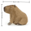 Λούτρινο παιχνίδι Capybara για παιδιά, 22 εκ. 5