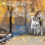 Ultrasonic Dog Repellent With LED Flashlight Portable And Effective Training Device 5