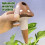 Drip Irrigation,Automatic Watering Cute Mushrooms,Automatic Drip Irrigation Device for Greenhouse Garden 5