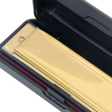 10 Hole Blues Harmonica C-Toonsoort Leerling Kinderen Vroege Educatie Puzzel Muziekinstrument Educatief Speelgoed Goud
