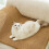 Self-Adhesive Cat Scratch Guard Mat, Durabl e Sofa Protection Tape, Essential Pet Supplies 5
