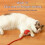 Interactive Cat Rolling  Super Drive Cat Rolling Balls with Bird Chirping Motion Activated Sensor Pet Kitten Teaser 10