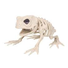 Skeleton Frog Halloween Decorations - Posable Skeleton Animals Skeletons with Posable Joints Halloween Decor
