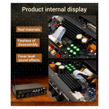 AS200 200W TPA3116D2 Hemmabio KTV Effektförstärkare Karaoke Sång 2.0/5.0/5.1 Kanal Multifunktionell AUX